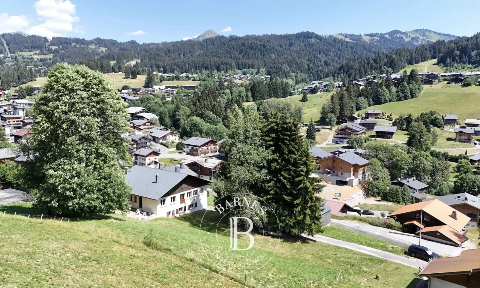 Les Gets - Ensemble Immobilier - Terrain Constructible 3 813 m² - Zone UB1 - Fort Potentiel de Développement - Photo 1