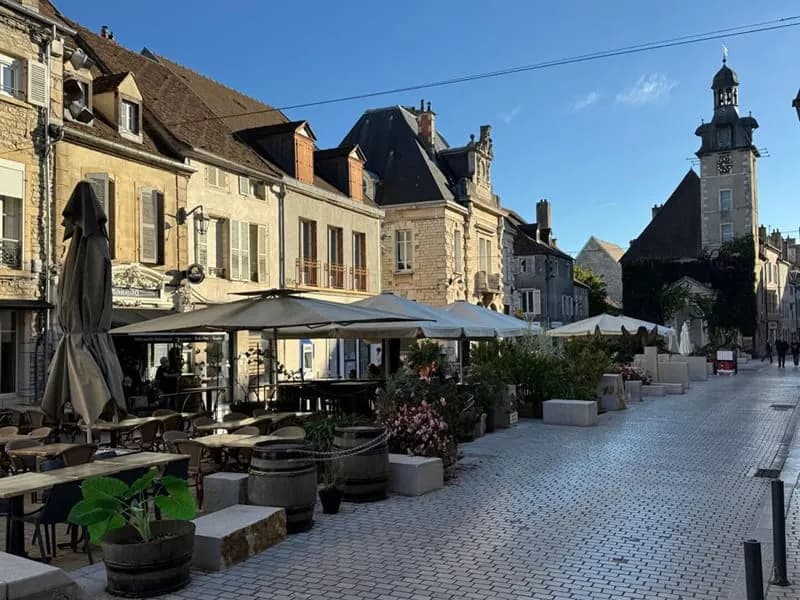 Immeuble Nuits saint georges 420 m2 - Photo 1