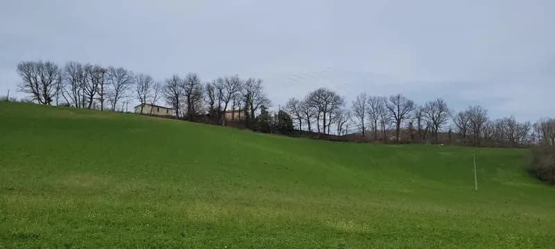 Ensemble immobilier avec terres agricoles - Photo 1