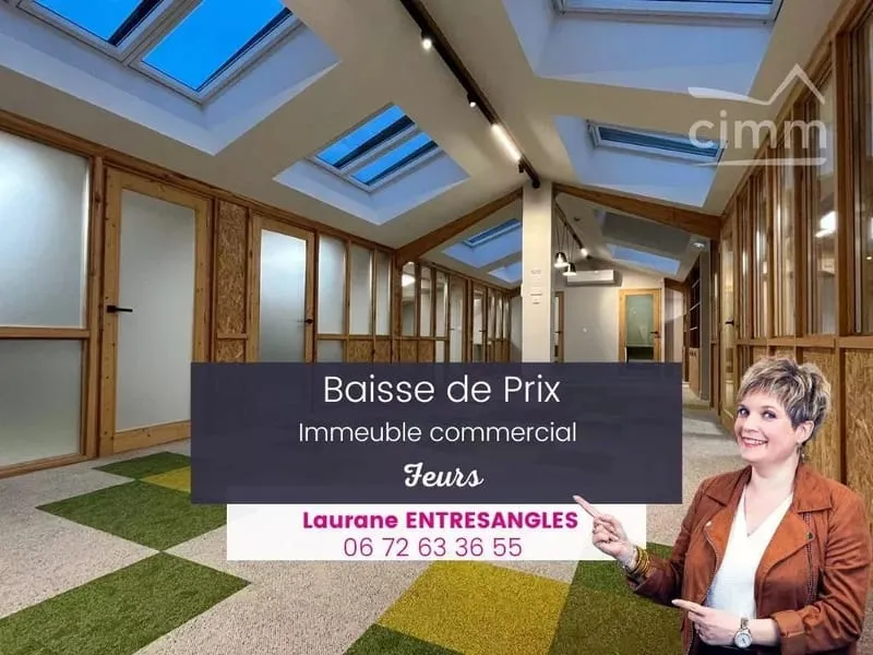 Immeuble professionnel refait à neuf - Feurs centre - Photo 1