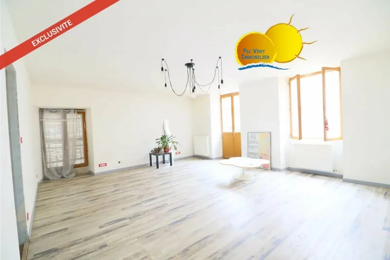 Ensemble immobilier de 2 grands appartements avec grenier, caves et cour - Photo 1
