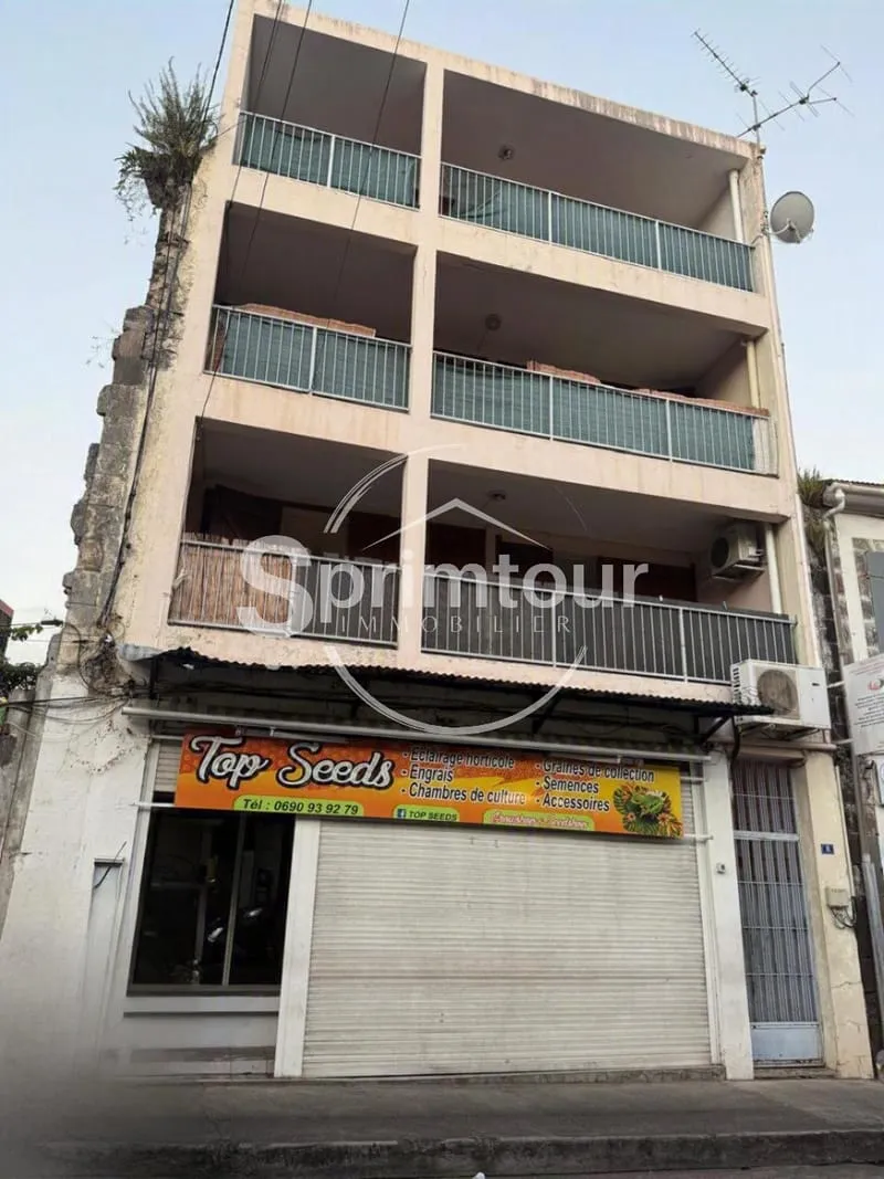BASSE-TERRE- Immeuble de rapport avec fort potentiel locatif - Photo 1