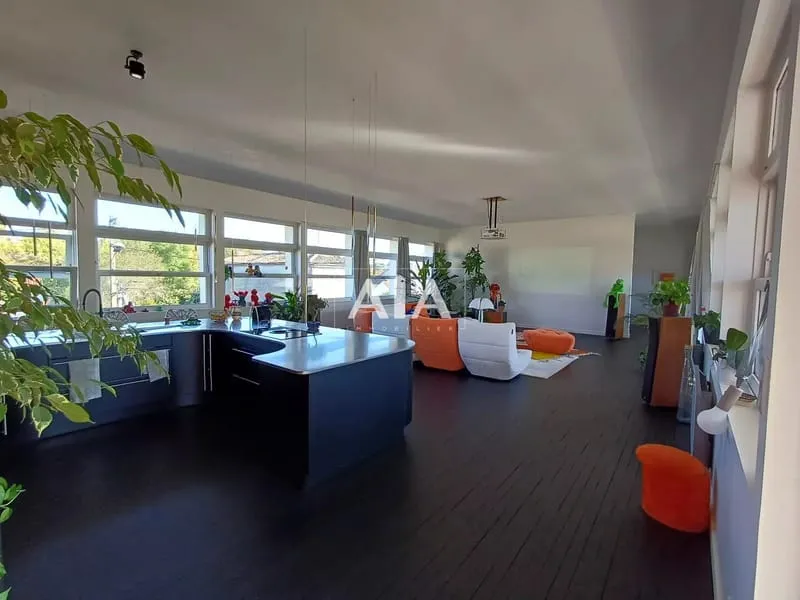 IMMEUBLE 2 APPARTEMENTS LOFT - Photo 1