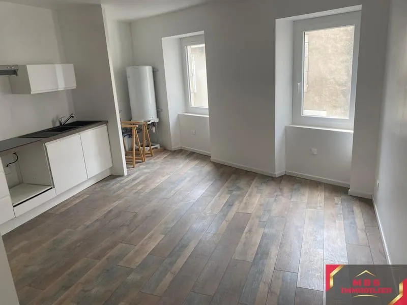 Roquecourbe - Immeuble Rénové 2 Appartements et un local com - Photo 1