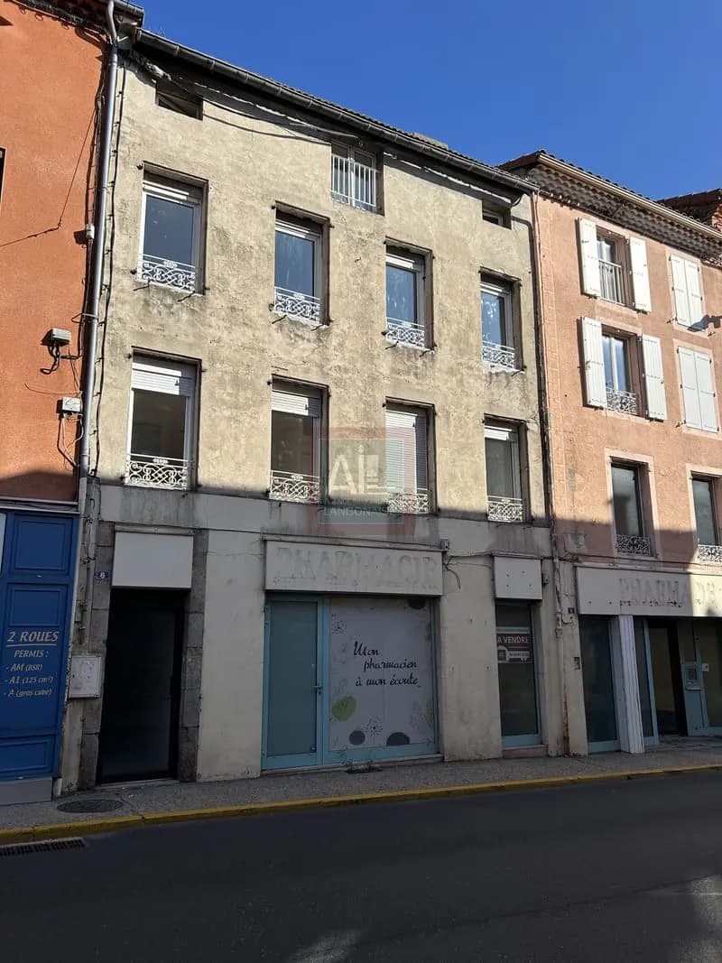 Immeuble commercial et résidentiel avec maison indépendante - Photo 1