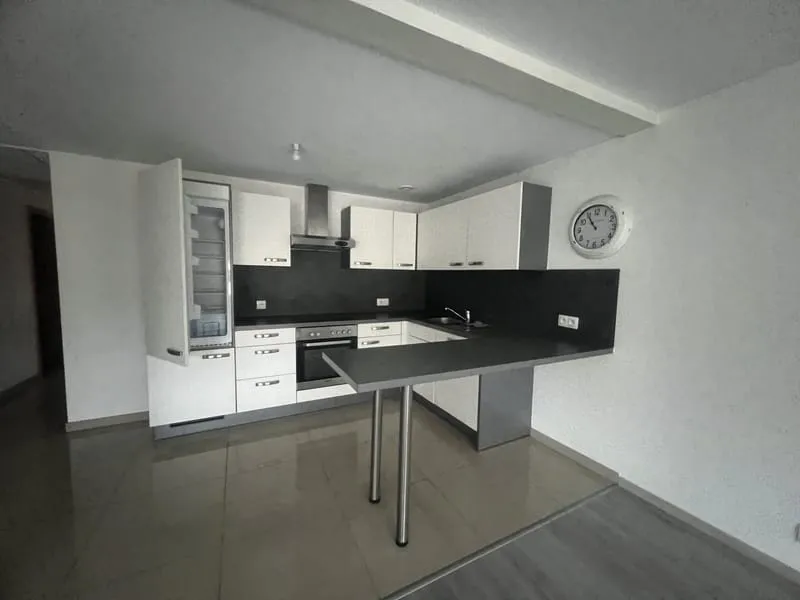 Immeuble de rapport de 310 m2 au centre de Brunstatt - Photo 1