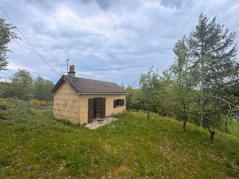 Ensemble immobilier à Neuvic en Corrèze - Photo 1