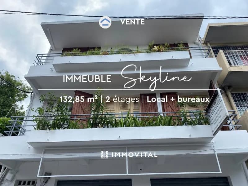 SUPERBE OPPORTUNITÉ D'INVESTISSEMENT : VENTE IMMEUBLE AVEC T - Photo 1