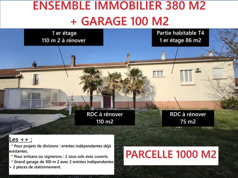 ENSEMBLE IMMOBILIER A VENDRE-BEAUMONT SUR VESLE- 380 m2 - Photo 1