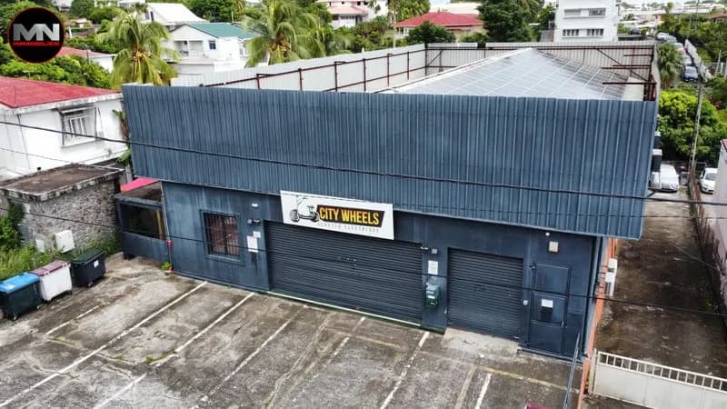À VENDRE IMMEUBLE PROFESSIONNEL ET MIXTE A FORT-DE-FRANCE - - Photo 1