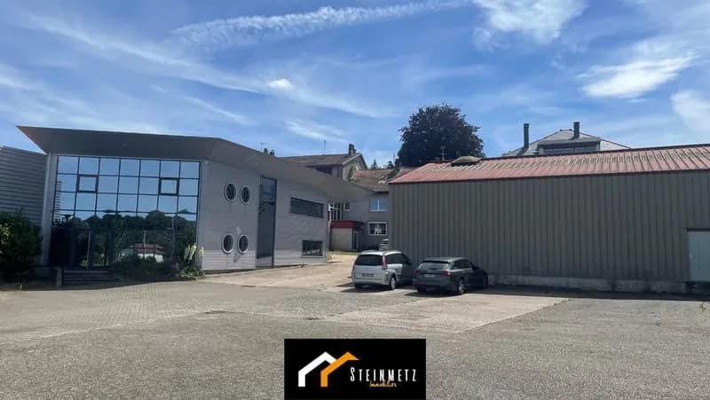 Ensemble immobilier à vendre en exclusivité - Sarrebourg - Photo 1