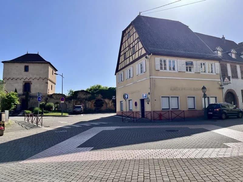 Rare ensemble immobilier à Lauterbourg - Photo 1