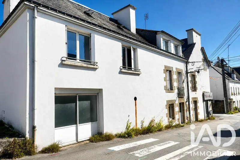 Immeuble de rapport 241 m² - Photo 1