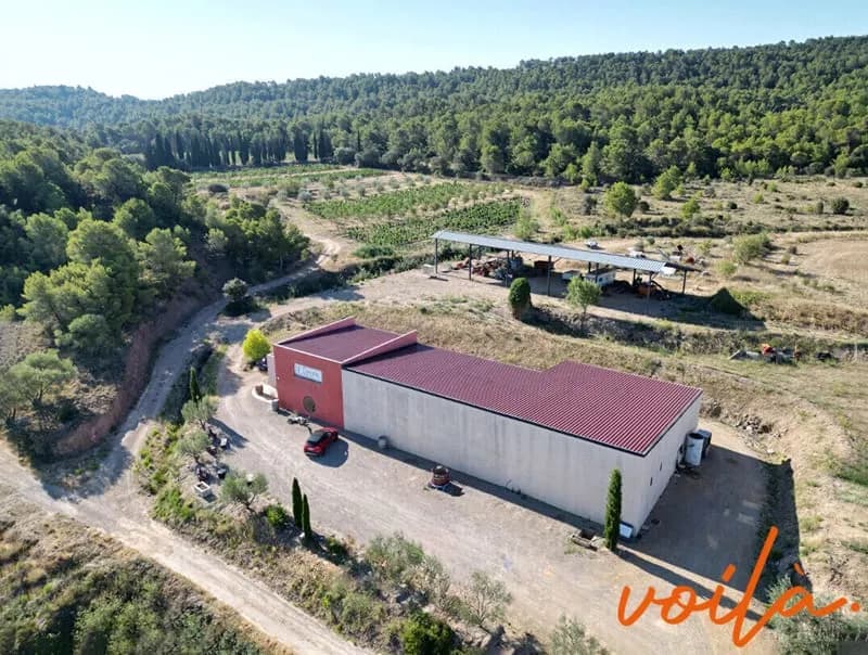 REF - VIGNOBLE - Minervois - Campagne avec bâtiment de +- 680m2 au total , hangar +terres - Photo 1
