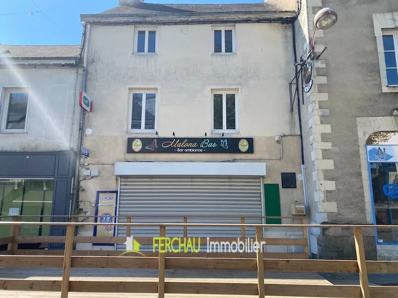 Immeuble à vendre Nort Sur Erdre - Photo 1