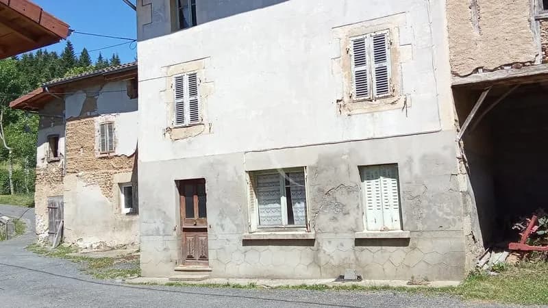 EN VENTE - AUGEROLLES ensemble immobilier de 2 Maisons jumelées. - Photo 1