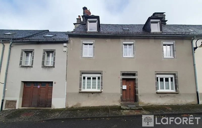 Ensemble immobilier composé de deux maisons mitoyennes Pierrefort - Photo 1