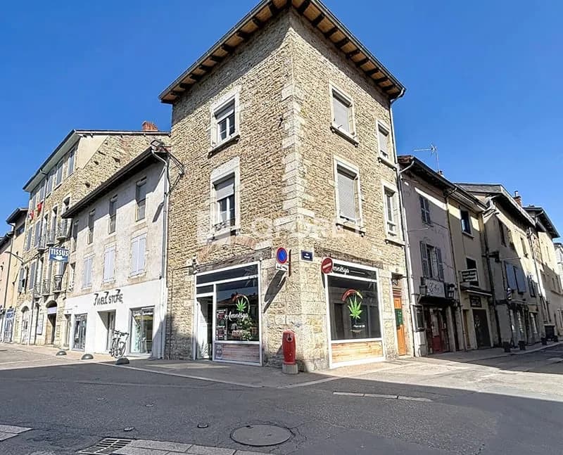 Immeuble Bourg En Bresse 3 lots - Photo 1