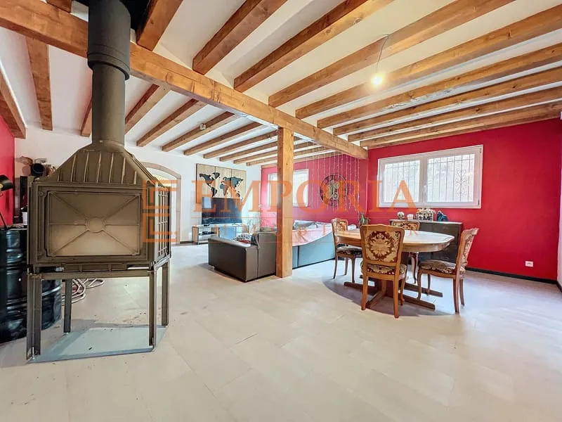 Ensemble F3, F5 et atelier à vendre à Hirsingue - Photo 1