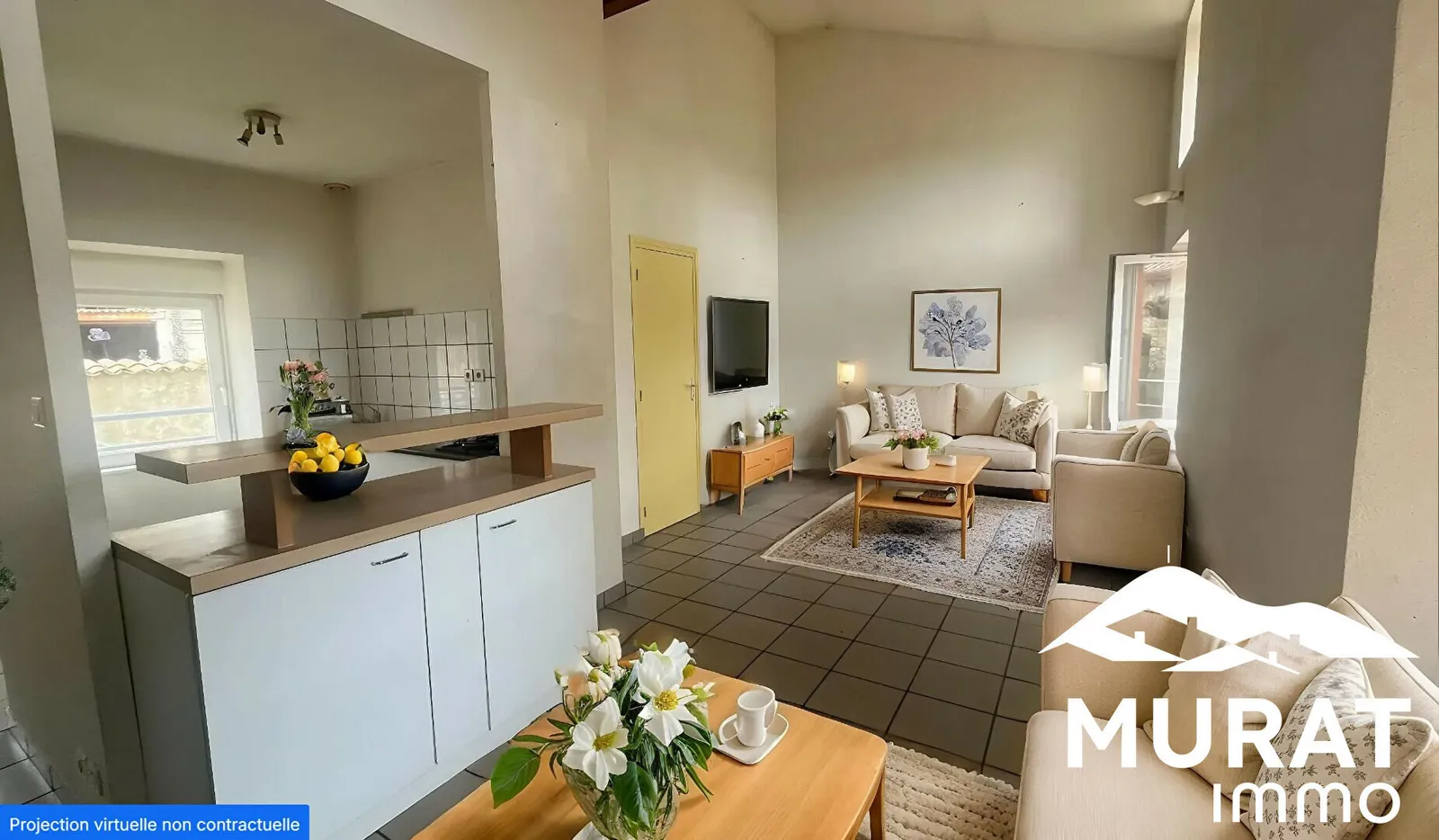 Ensemble immobilier Viscomtat 137 m2 habitables - Photo 1