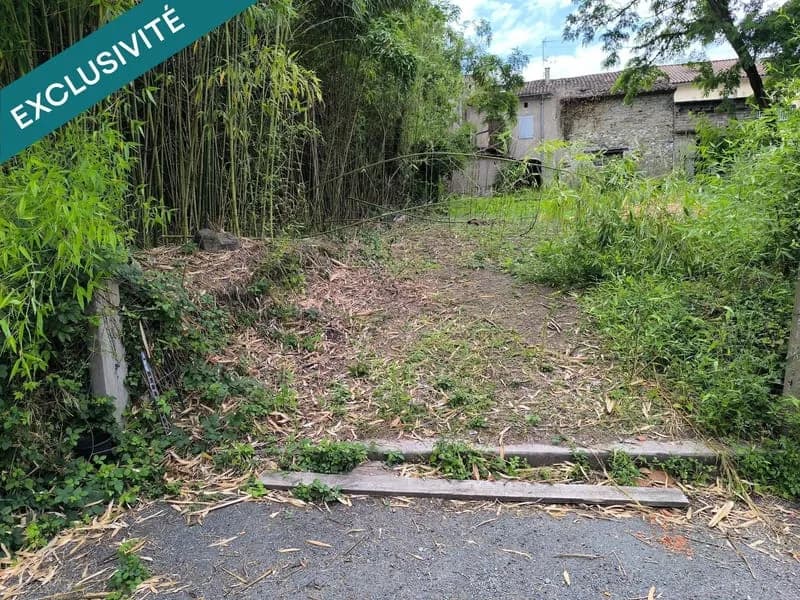 IMMEUBLE +Dépendances + Terrain constructible - Photo 1