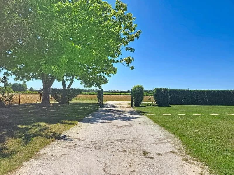 Ensemble immobilier rare : 2 maisons + dépendances - Saint-André-de-Lidon - Photo 1