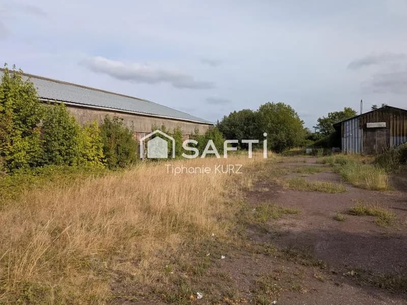 Terrain constructible et Hangars - Photo 1