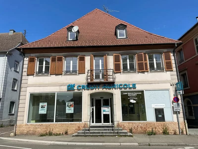 Dannemarie immeuble de 800 M² - Photo 1