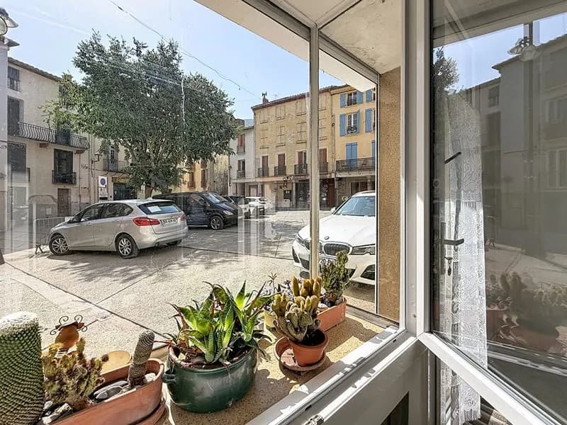IMMEUBLE EN COPROPRIÉTÉ / ARLES SUR TECH - Photo 1