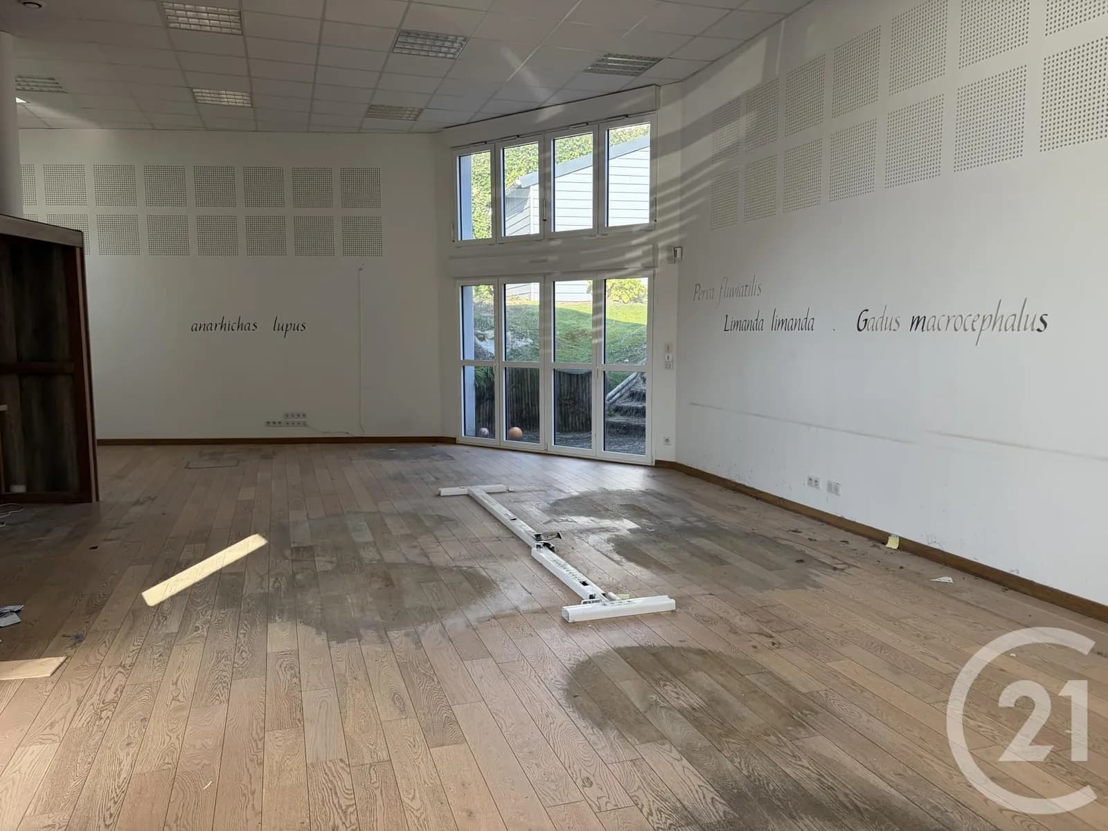 Immeuble 306 m² - Photo 1
