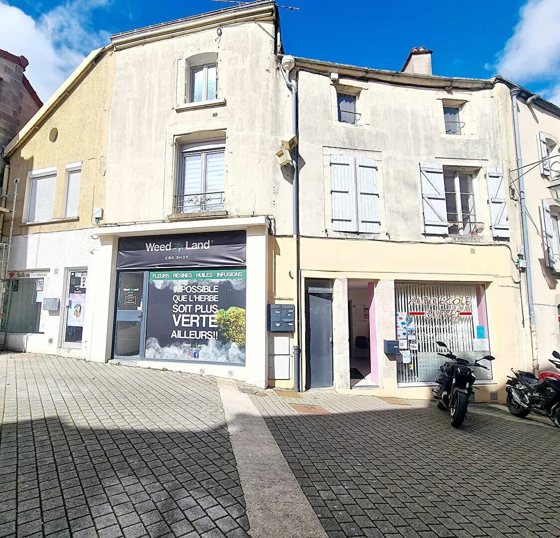 Immeuble de rapport 10 pièces 280 m² - Photo 1
