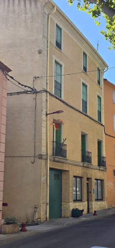 Immense maison à vendre avec terrasse 9 chambres à Estagel - Photo 1