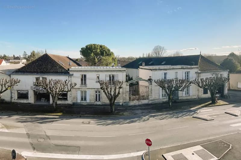 Ensemble immobilier 3 logements + 2 surfaces de vente + hangar + atelier + cour - Photo 1