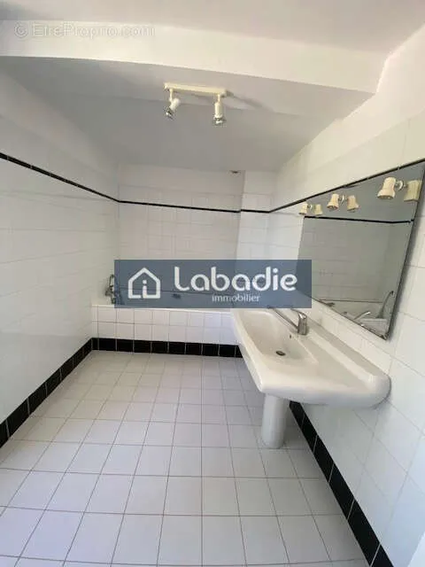 Rare, ensemble immobilier avec 11361m2 de terrain ! - Photo 1