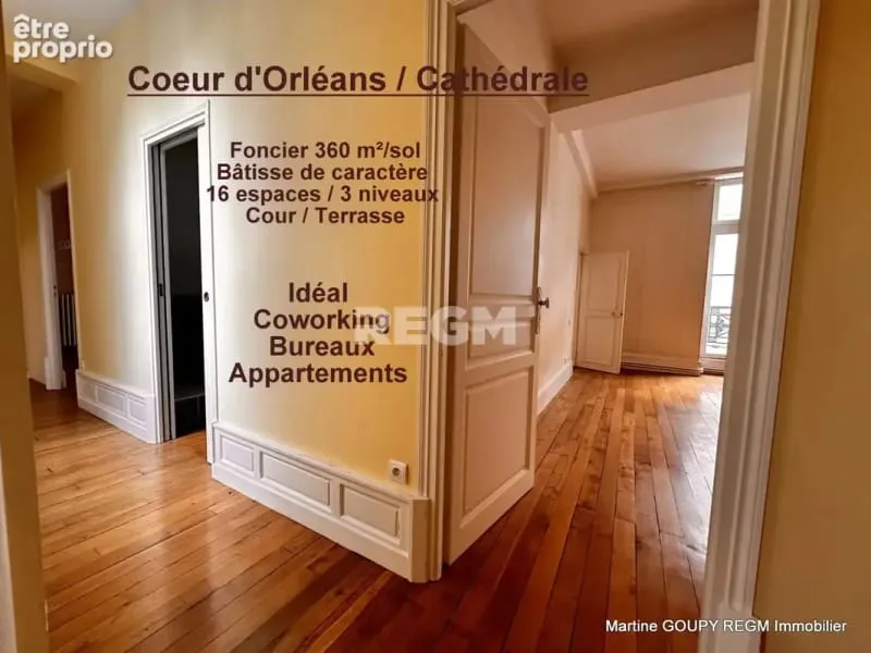 ORLEANS (45) Centre / Cathédrale Foncier sur 3 niveaux 360 m2 /sol - Investisseurs - Photo 1