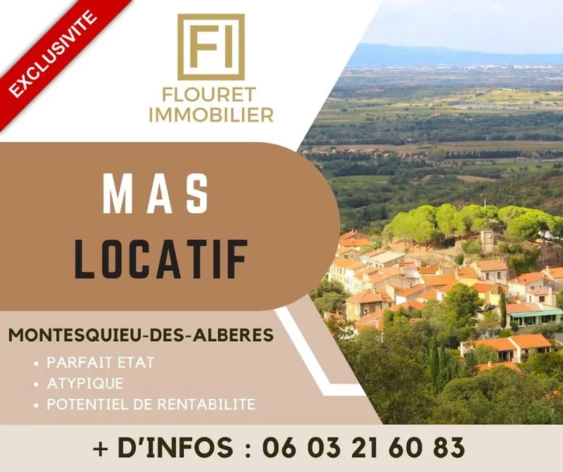 Propriété de caractère à usages multiples - 5 chambres, 2 bureaux, piscine, fort potentiel d'accueil - Photo 1