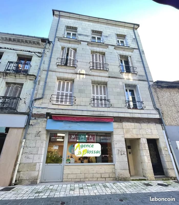 Immeuble de rapport 250 m² - Photo 1