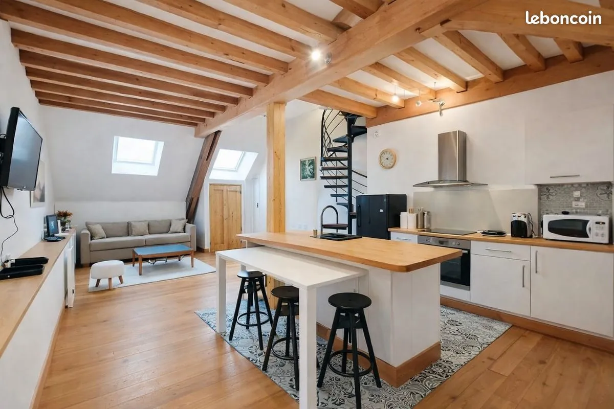 Immeuble ancien rénové, 2 appartements meublés Beaune centre - Photo 1
