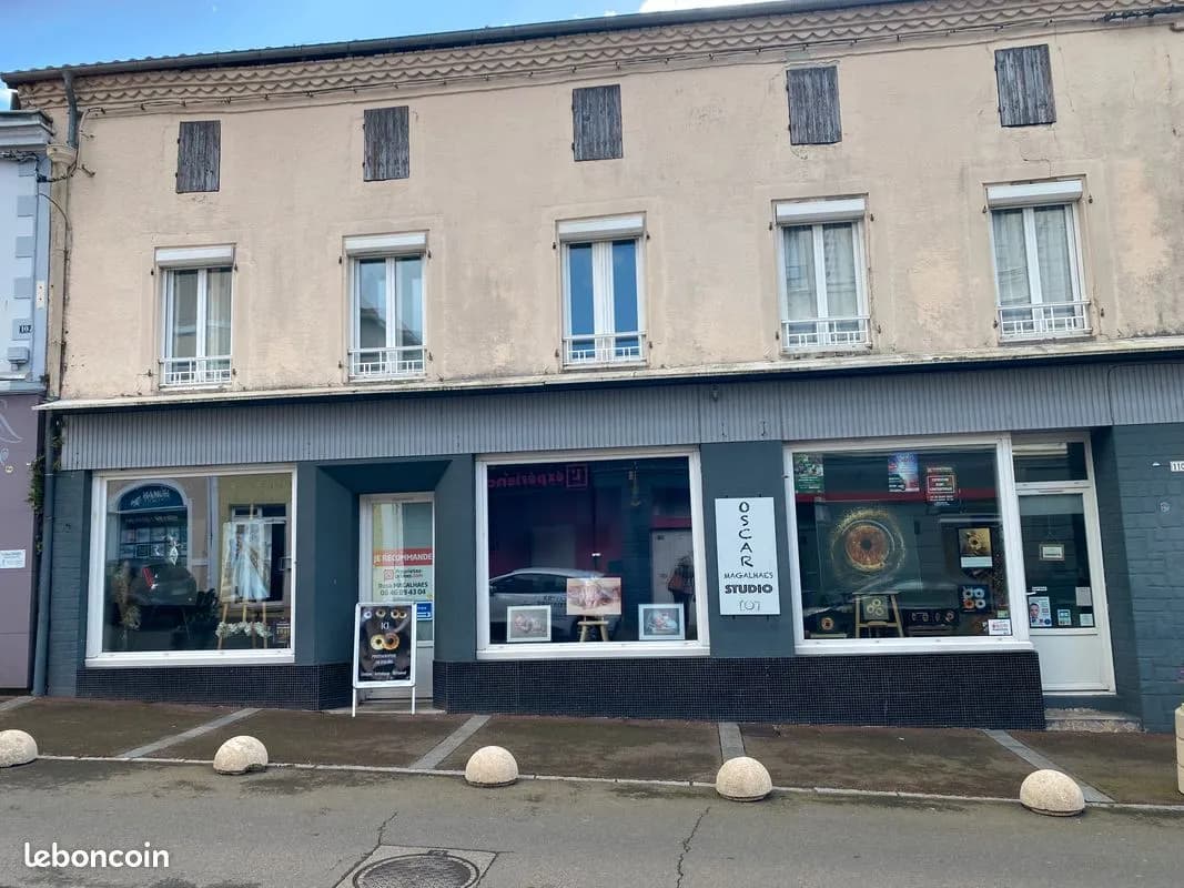 Immeuble de rapport 6 pièces 210 m² - Photo 1