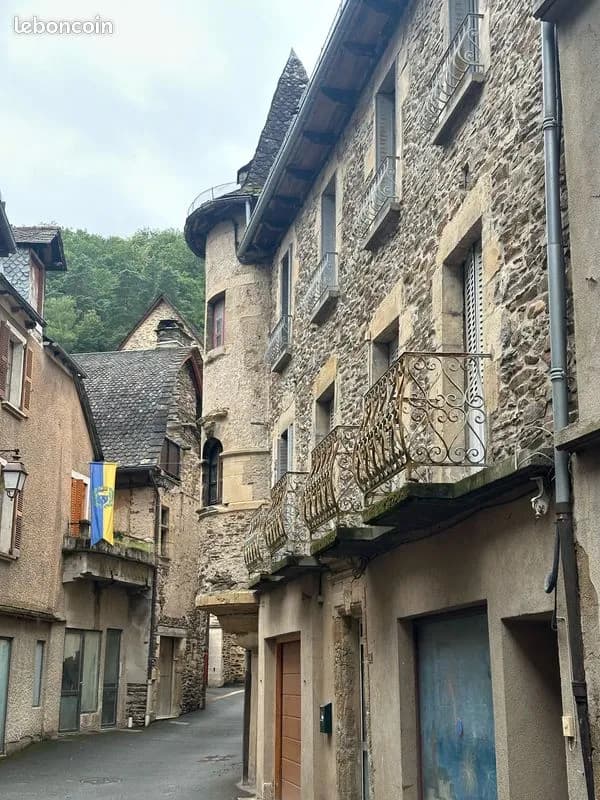Estaing - Ensemble immobilier 475m² + Terrasse et Jardin • Commerce + Duplex + Gîte • 259 000 - Photo 1