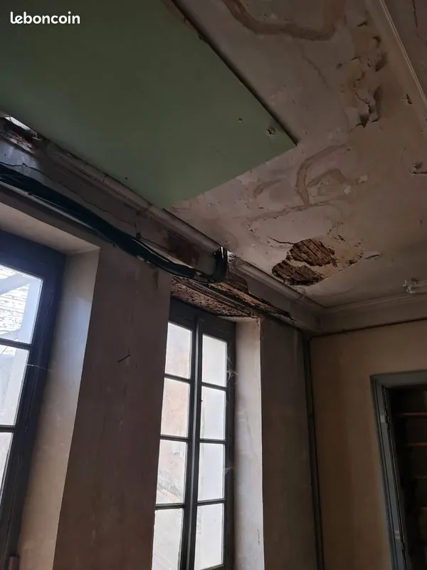 Immeuble de rapport 9 pièces 269 m² - Photo 1