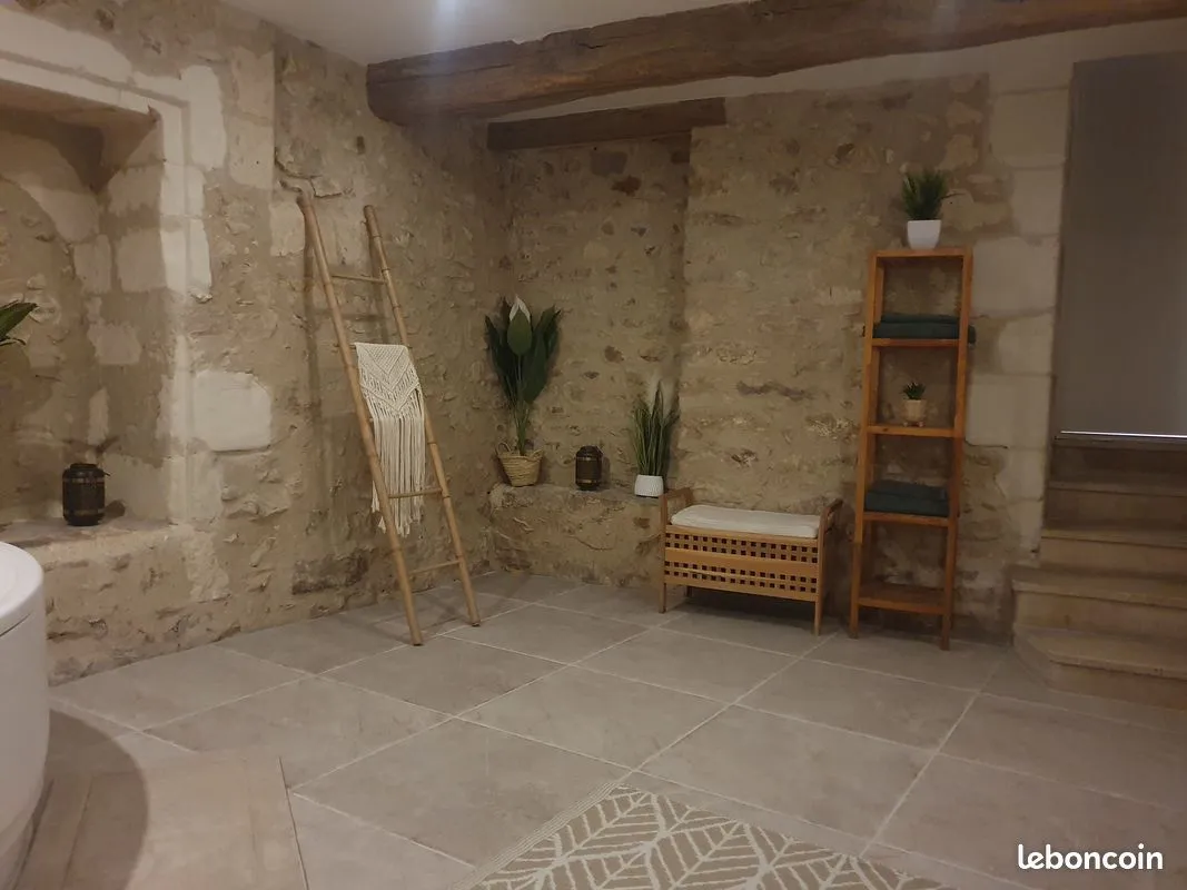 Immeuble de rapport 9 pièces 290 m² - Photo 1