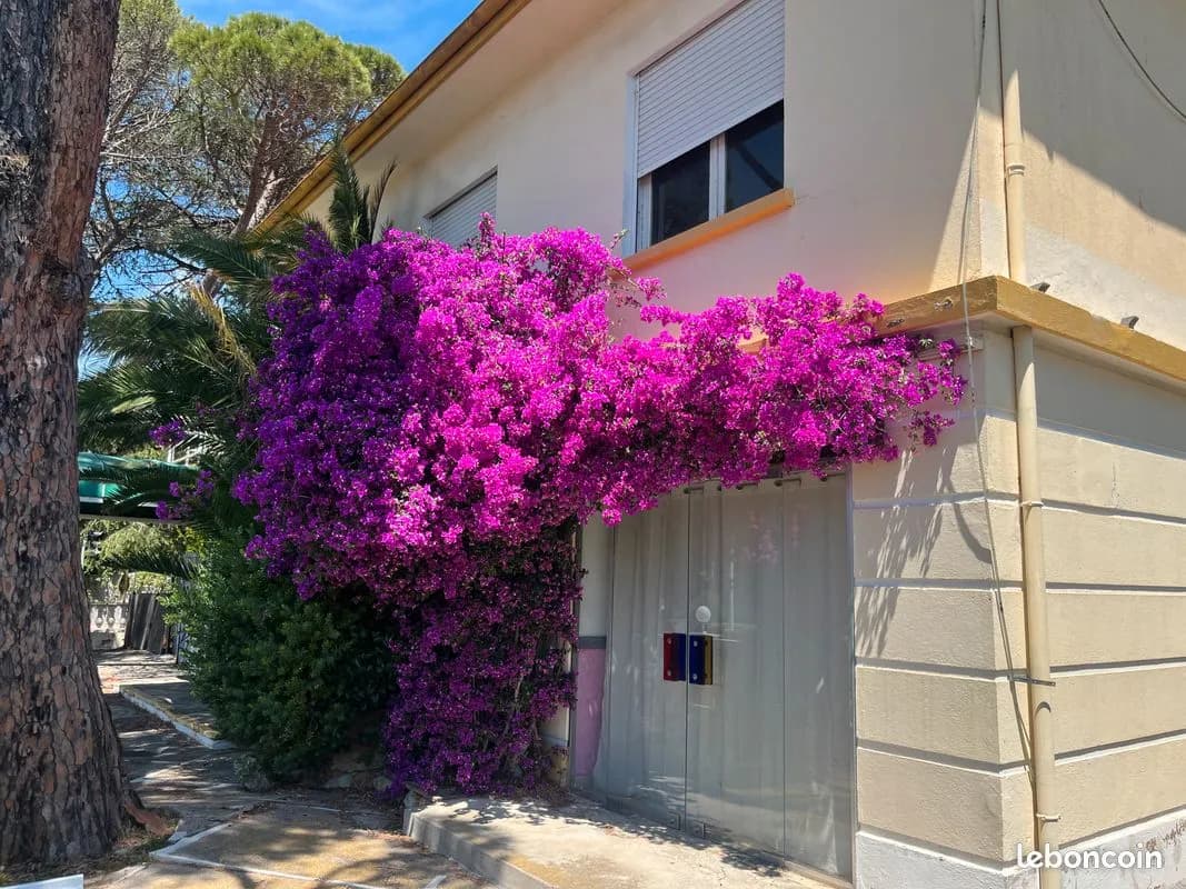 Ensemble immobilier à vendre - Photo 1