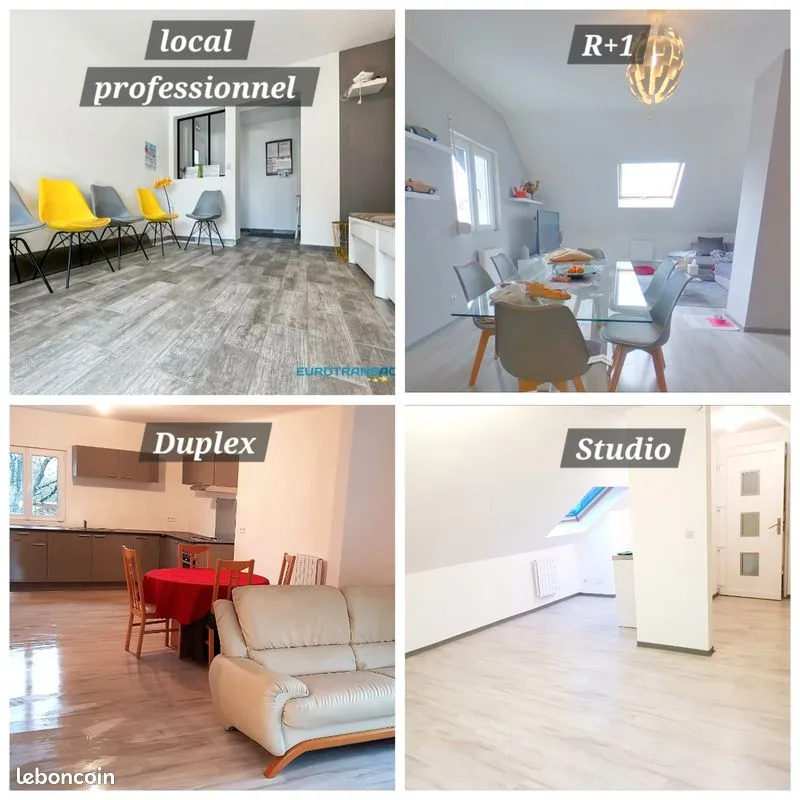 Ensemble immobilier de rapport sur Roeschwoog - Photo 1