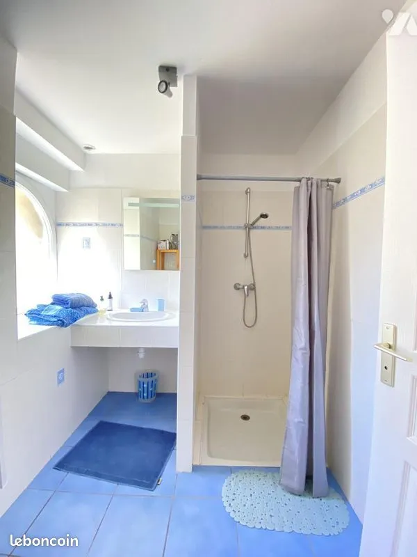 Maison 300 m² PLOUBEZRE - Photo 1