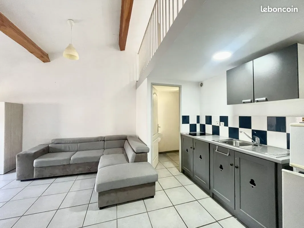 Immeuble de rapport 239 m² - Photo 1