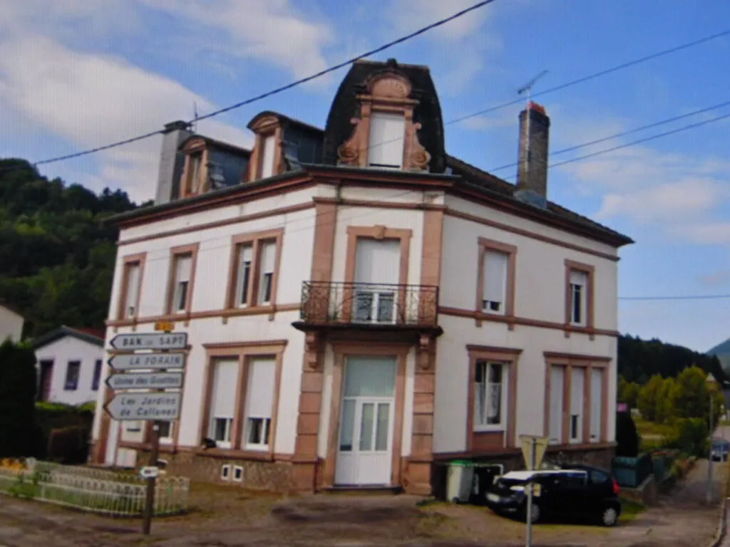 SENONES (Vosges) immeuble de rapport - Photo 1
