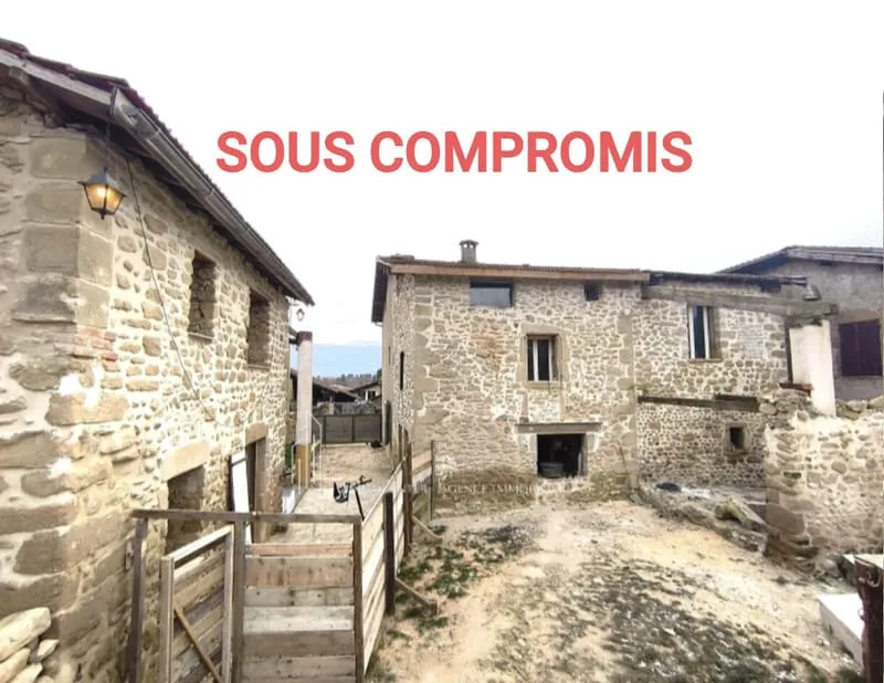 Ensemble immobilier- 2 maisons- Charme de la pierre - Photo 1