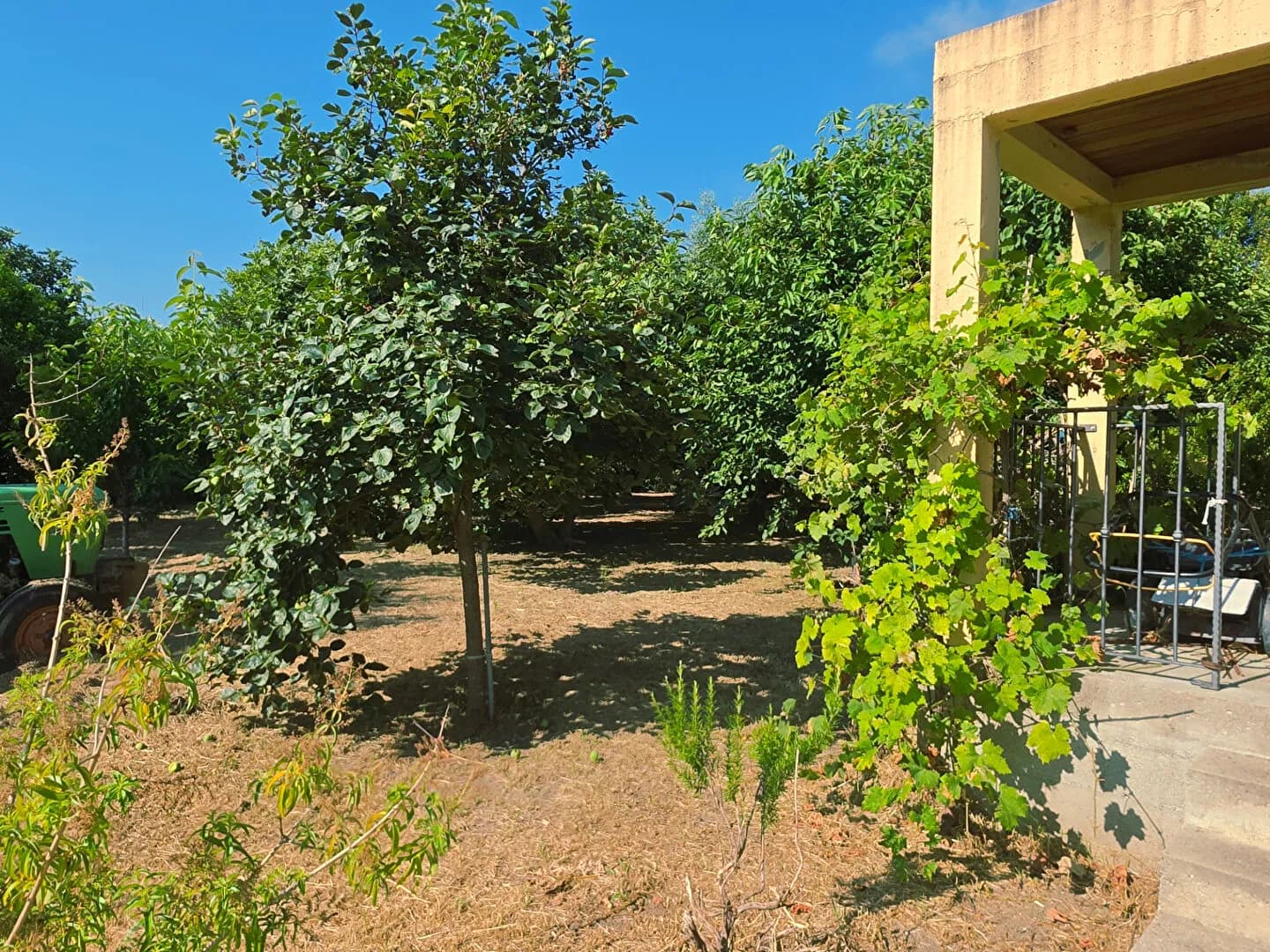 À VENDRE Ensemble immobilier avec fort potentiel de rentabilité - Photo 1