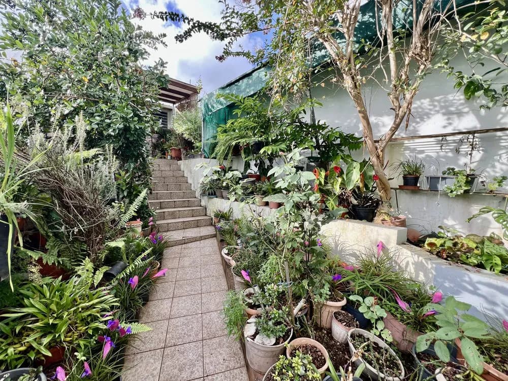 TAMPON 97430 - ENSEMBLE IMMOBILIER - INVESTISSEMENT - SECTEUR AGRÉABLE - PROCHE COMMODITÉS - Photo 1